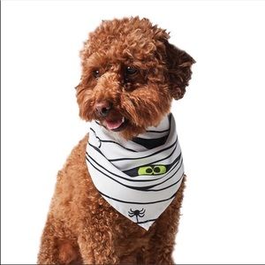 Hotel Doggy Halloween Mummy Bandana for S/M Dogs